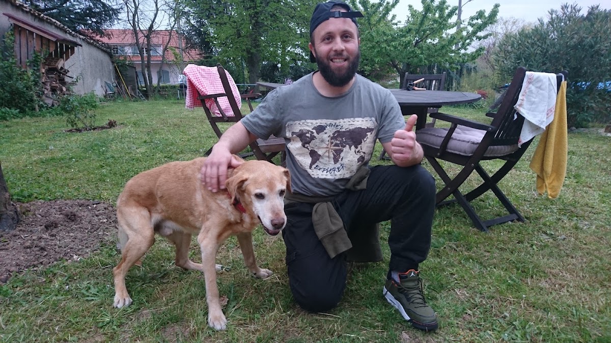 L'ami des Chiens