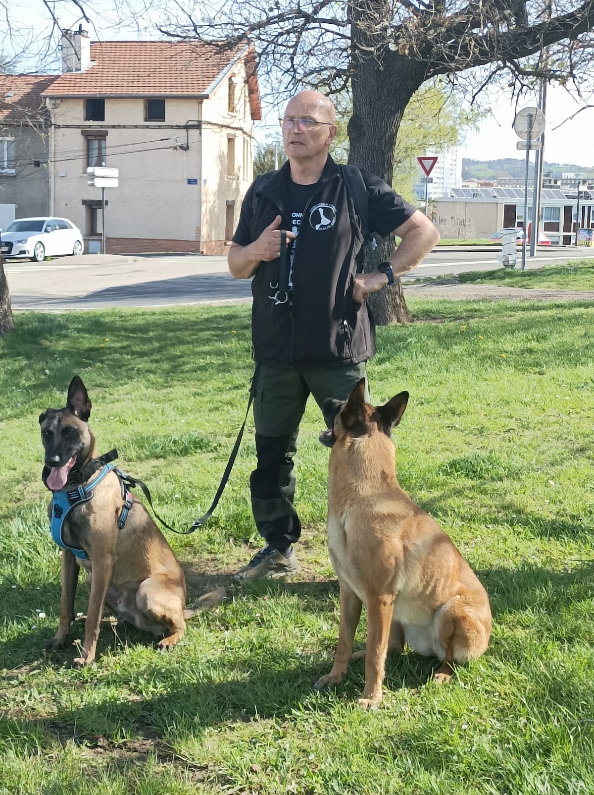 Educateur canin "parler chien"