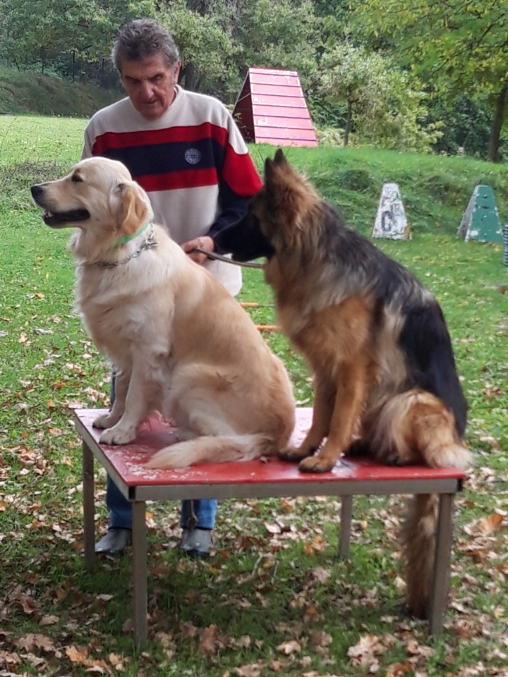 Baudet Rémy - éducateur canin