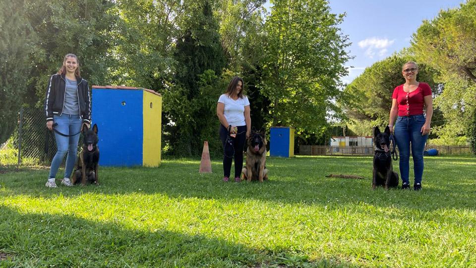 TRAINING DOG