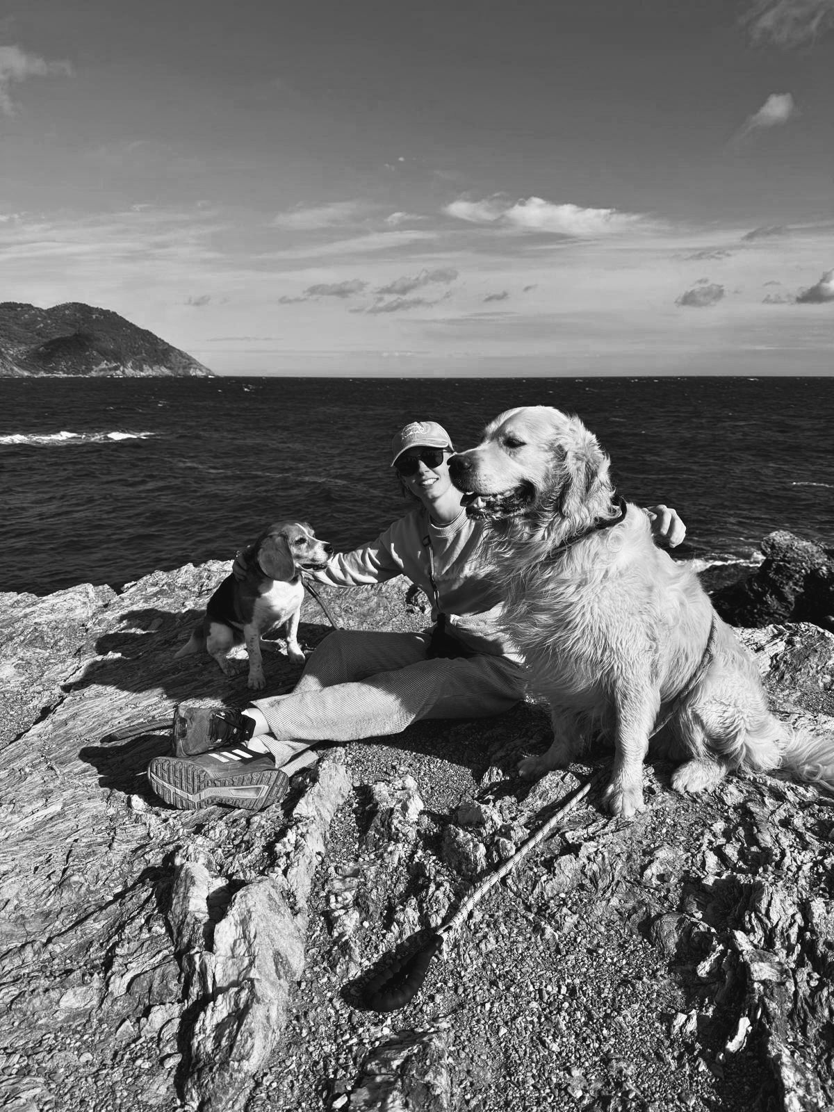 Manon dogs