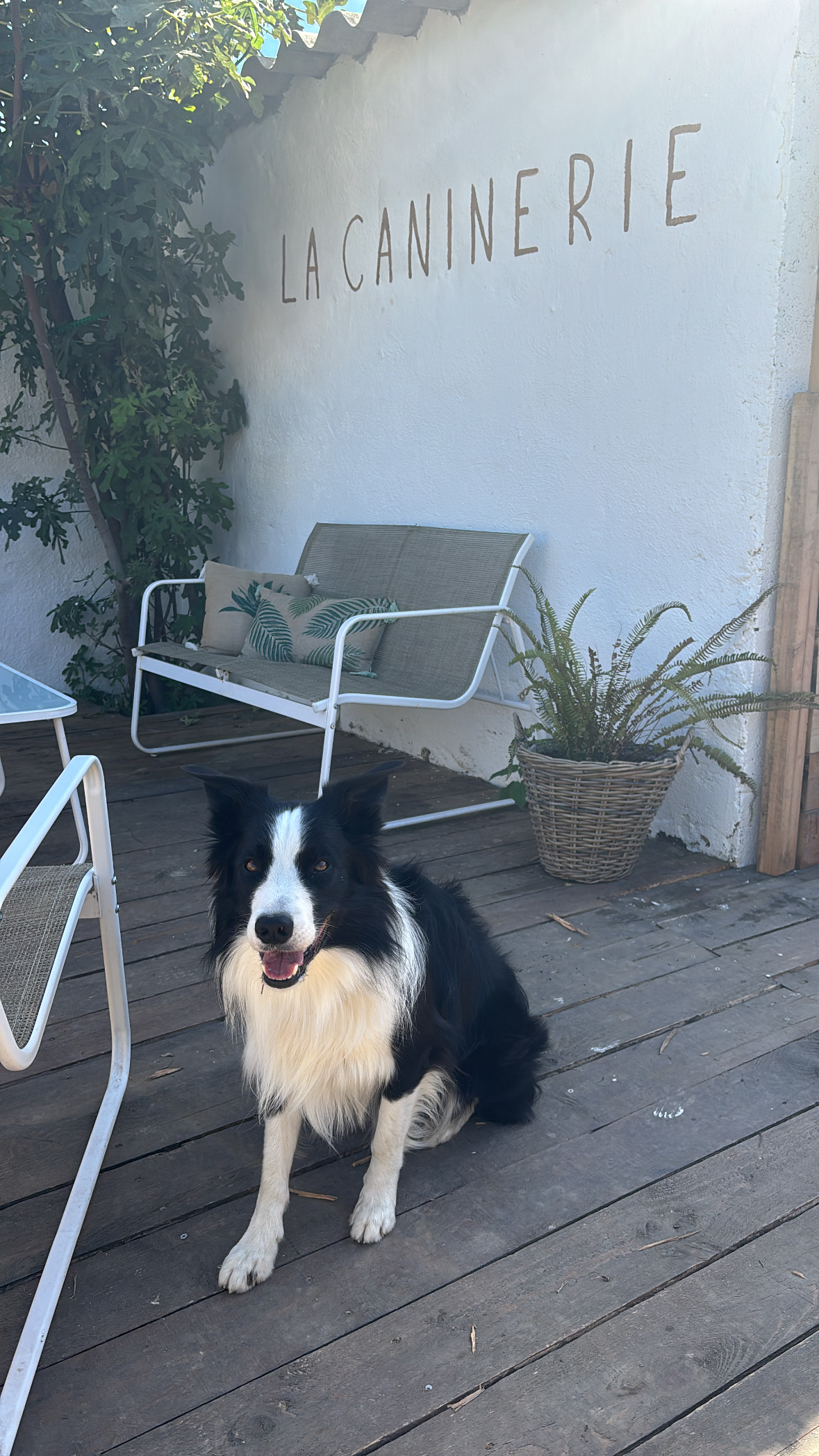 La Caninerie