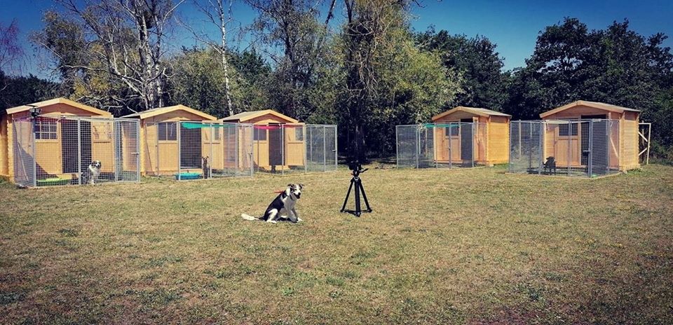 la pension d'ipsho — petsitter à Bourges