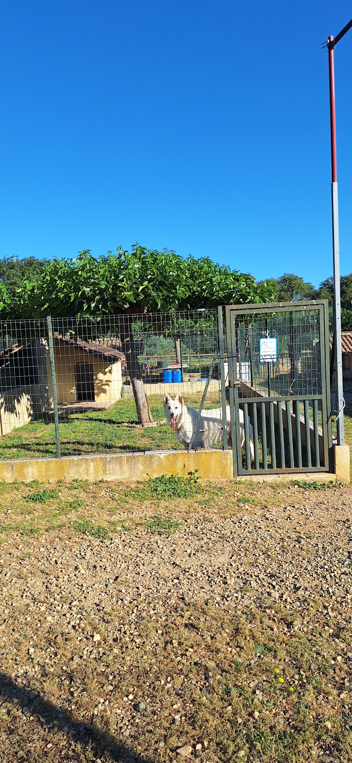 Pension Lutèce — petsitter à Béziers