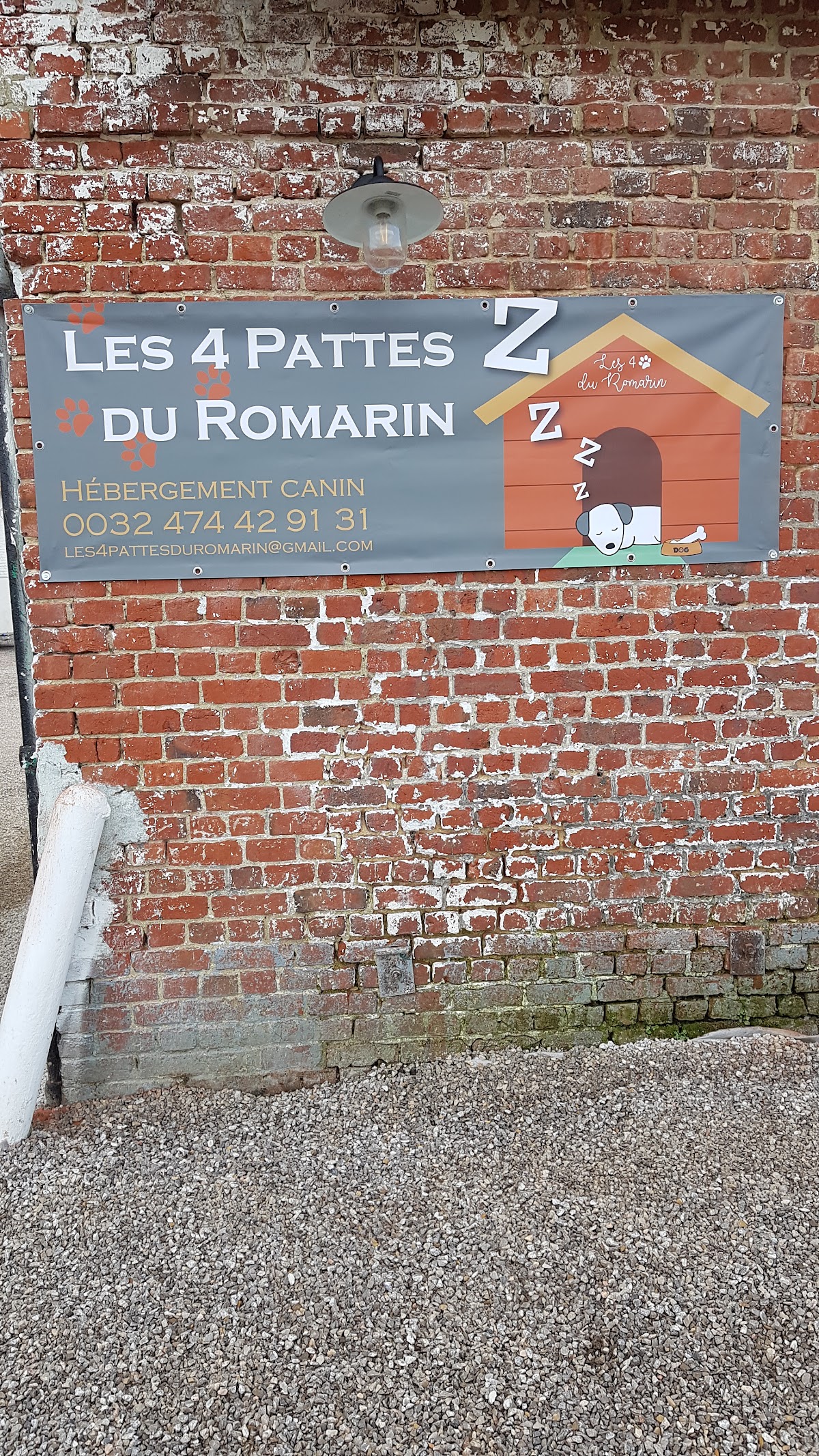 Les 4 pattes du romarin