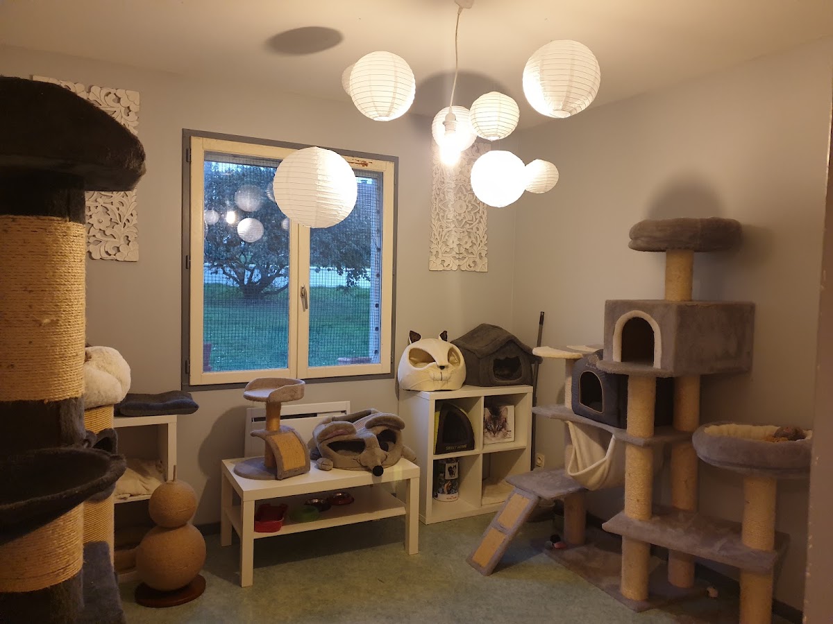 Pension familiale chiens et chats NOZANIMO chez Sylvie