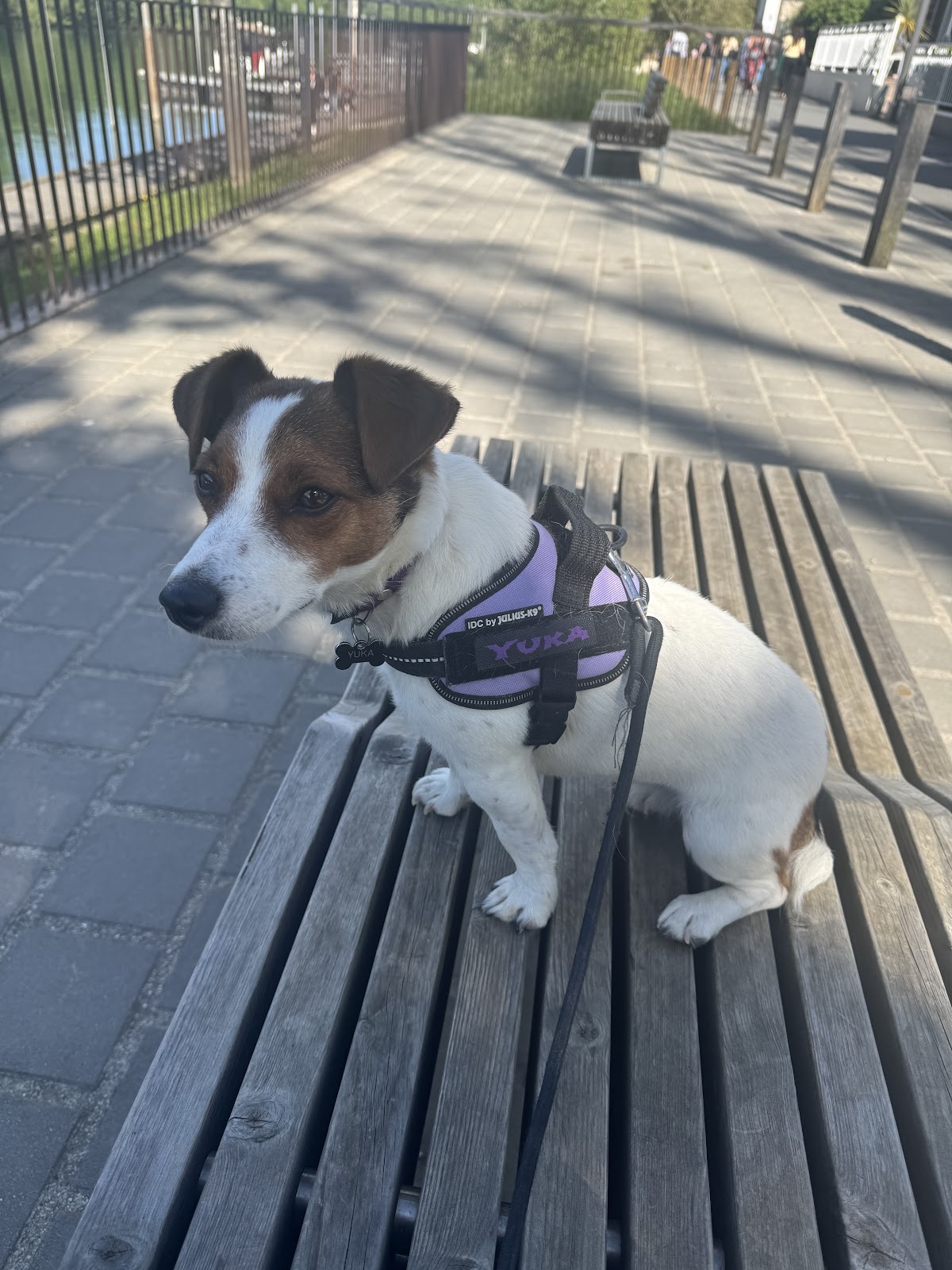 Garde d’animaux Fanny