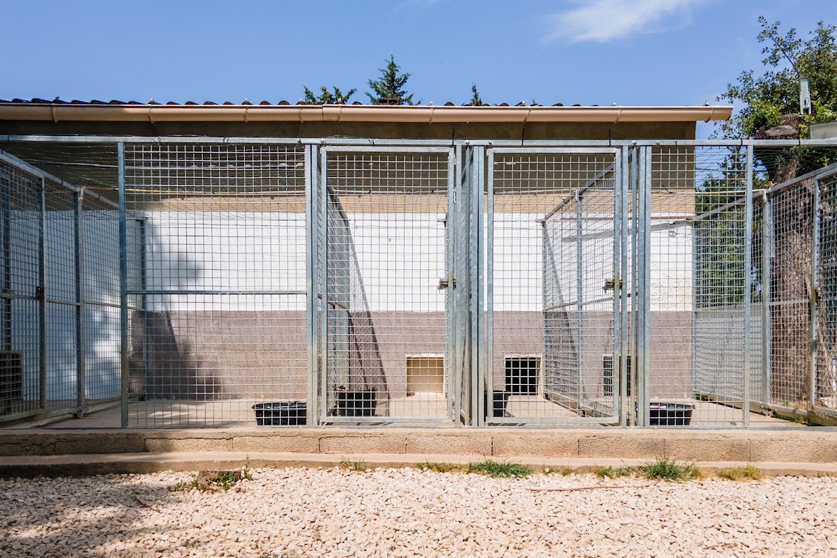 Pension Canine Eyragues