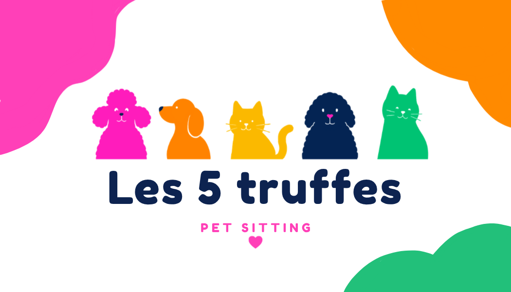 Les 5 truffes