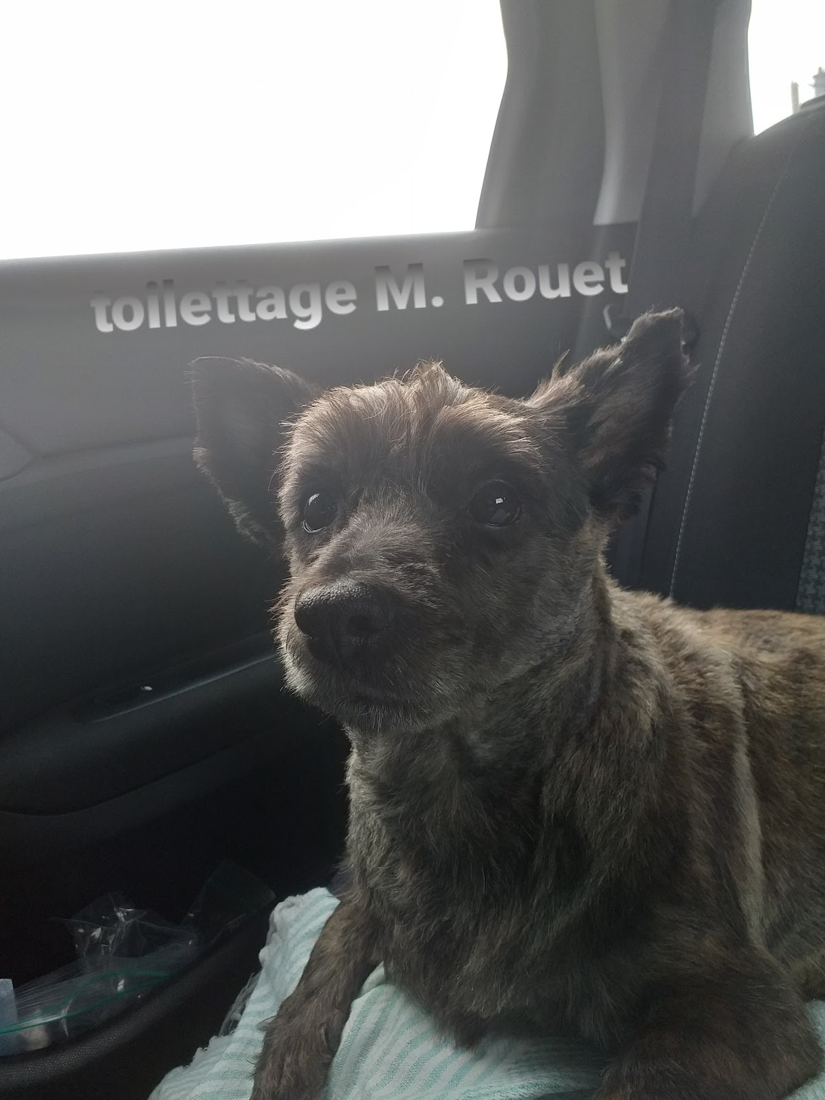 Rouet Claude — pension pour chien à Lorient