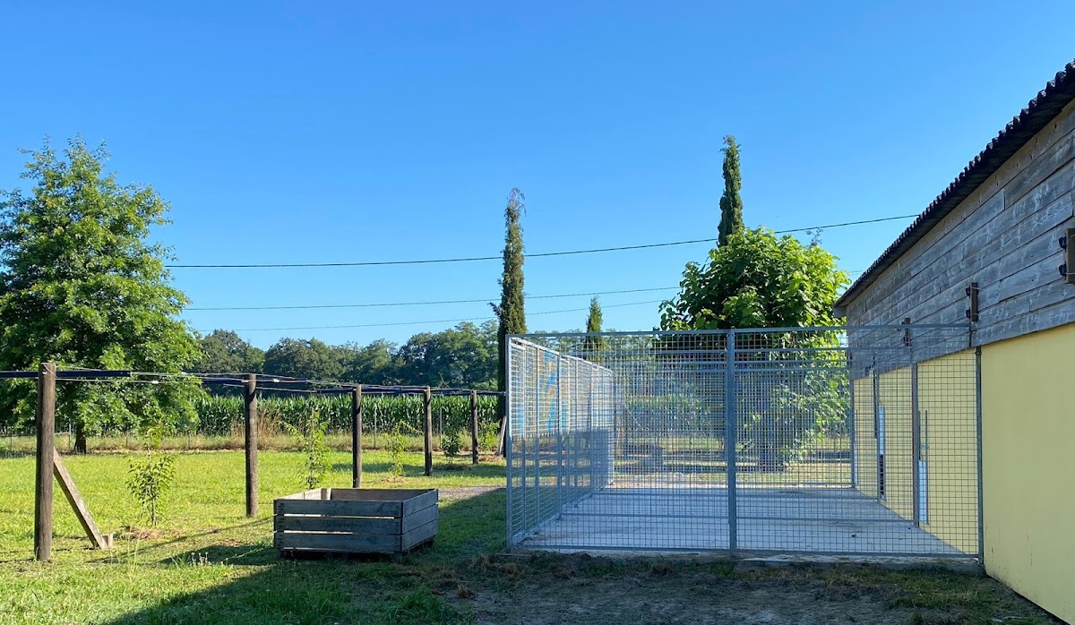 Pension canine de la Cuadrilla