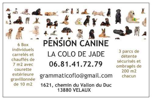 LA COLO DE JADE