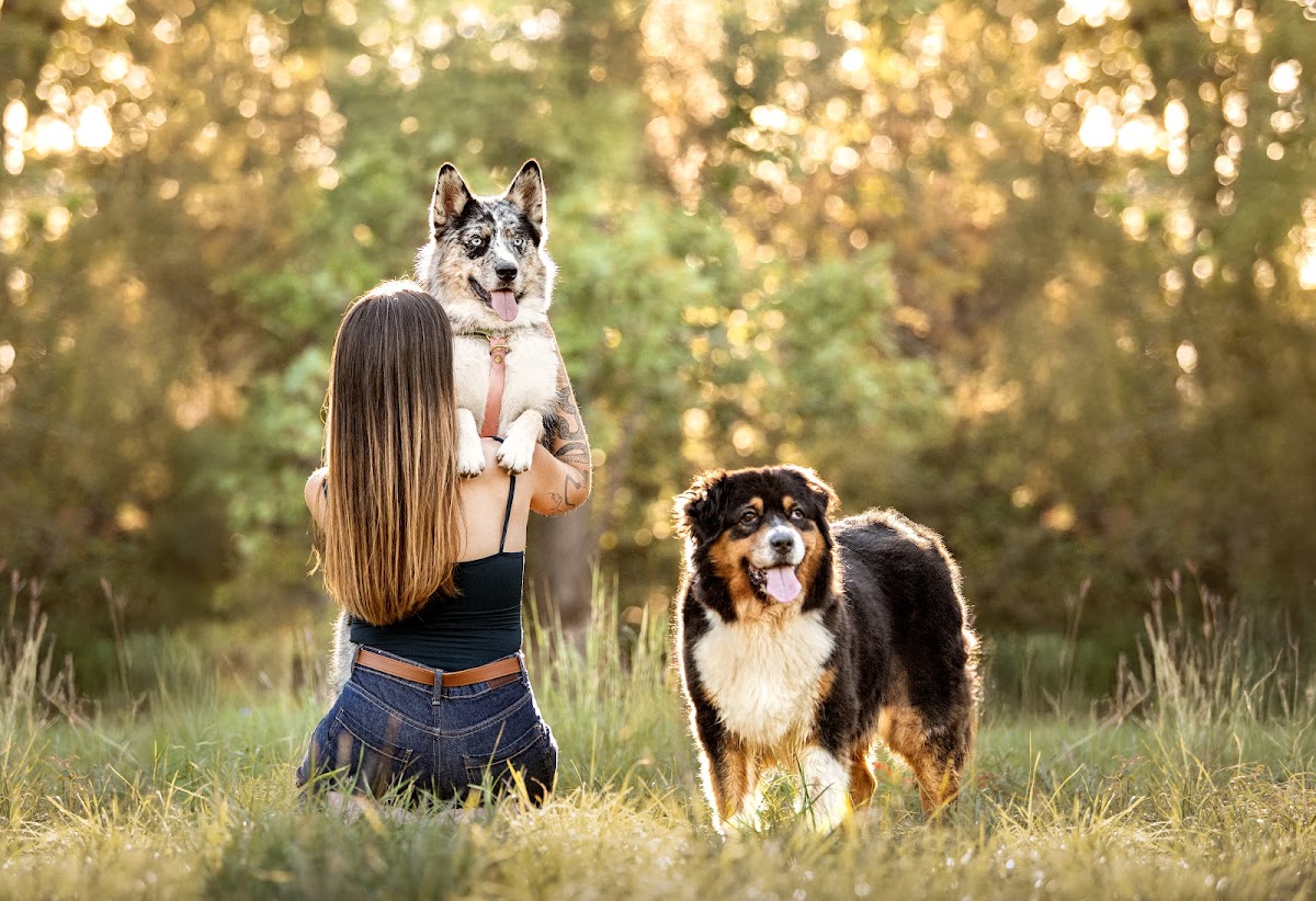 Pet Club Provence