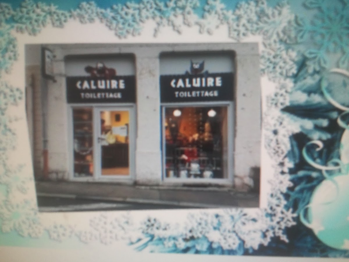 Caluire Toilettage