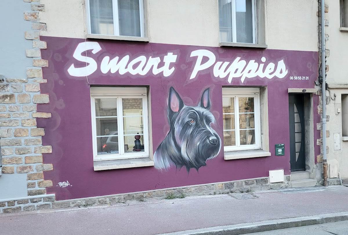Smart Puppies Institut de Toilettage, Spa Ozone thérapie & Éducation Cherbourg