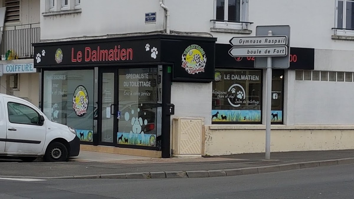 Le Dalmatien