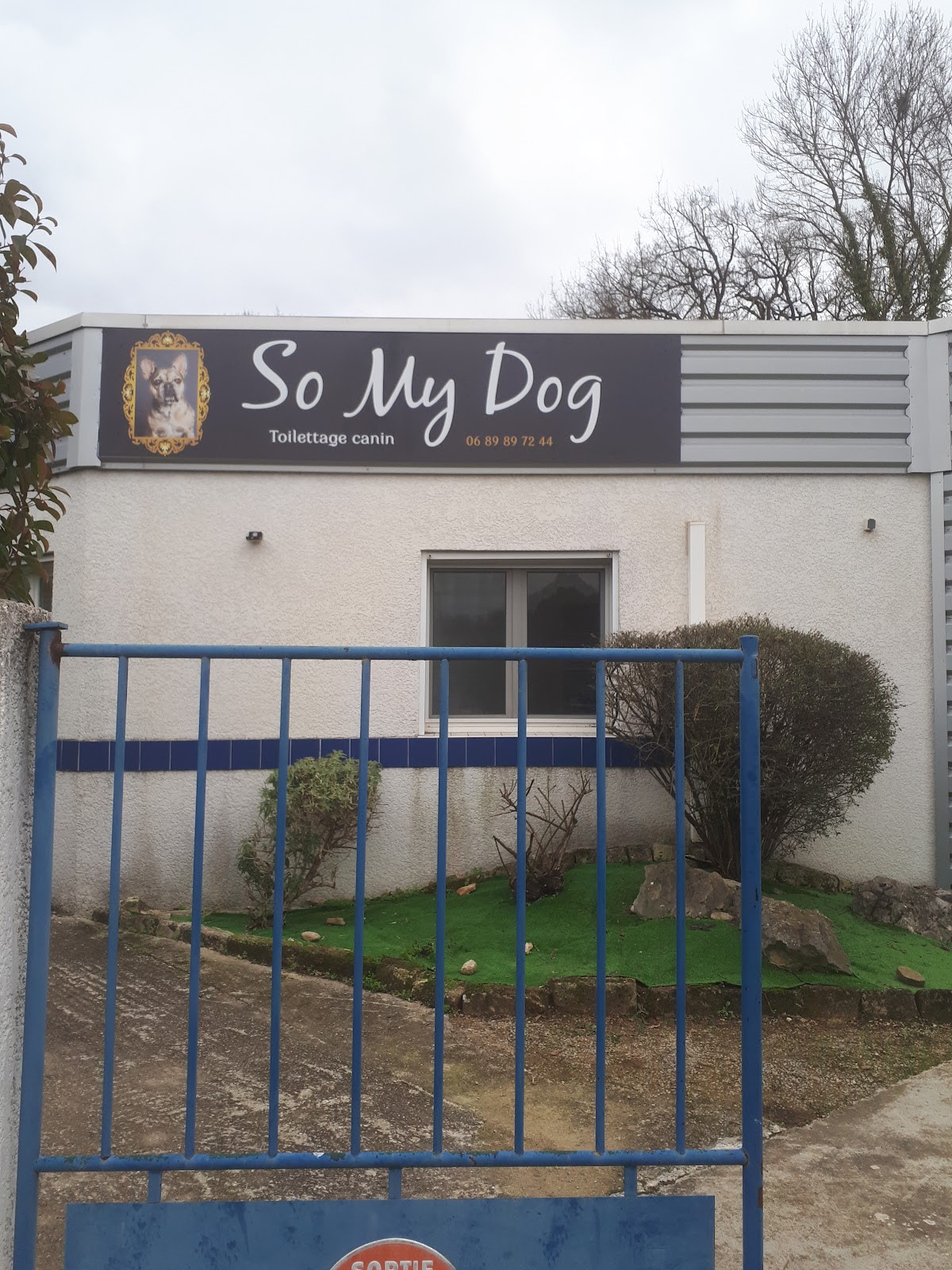 So My Dog