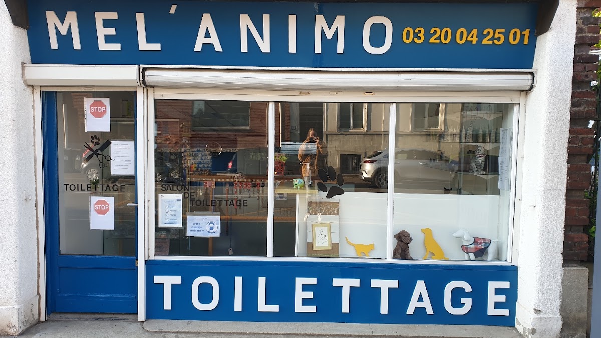 Mel'Animo
