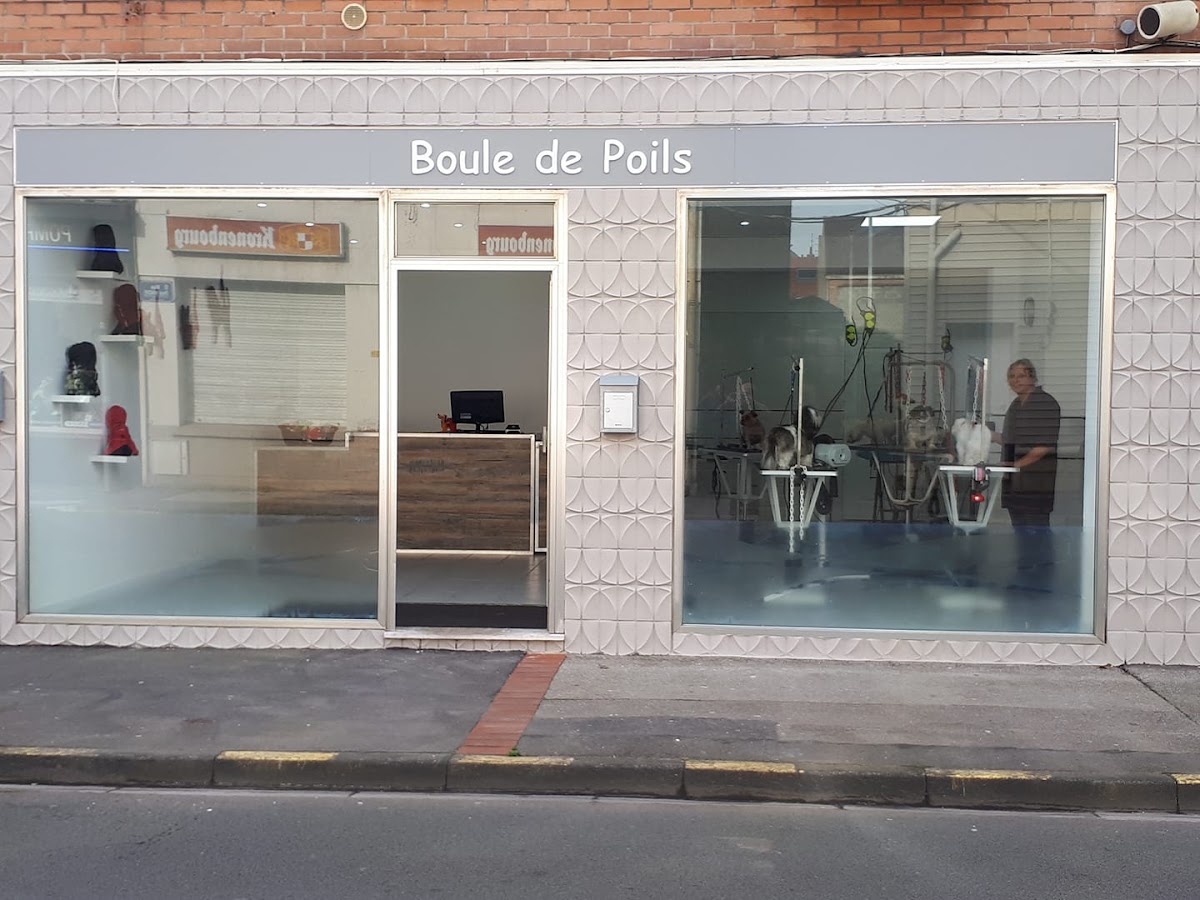 TOILETTAGE "Boule de Poils"