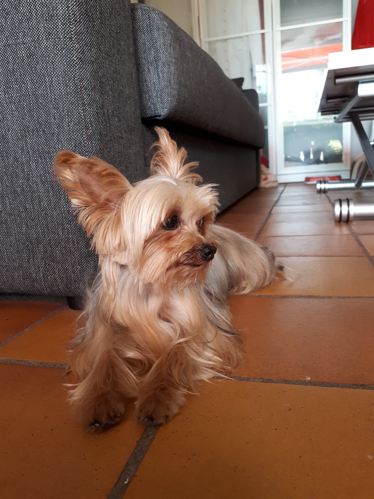 Navarro Beatrice Marie