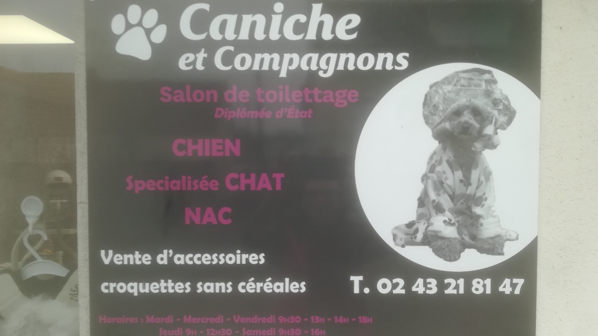 Caniche & Co.Toilettage chiens,chats,NAC le mans Arnage sarthe