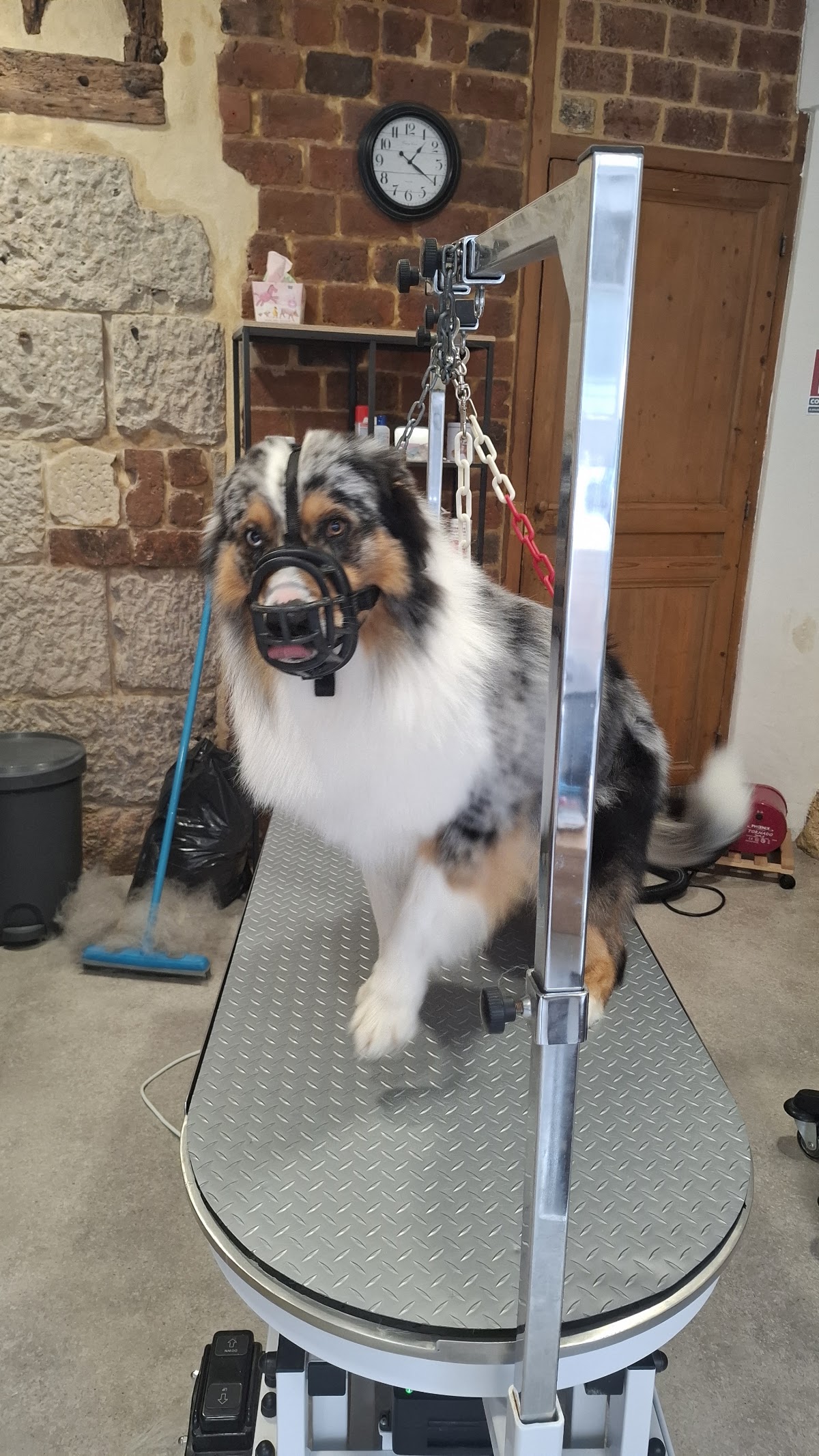 Beau Ti Chien
