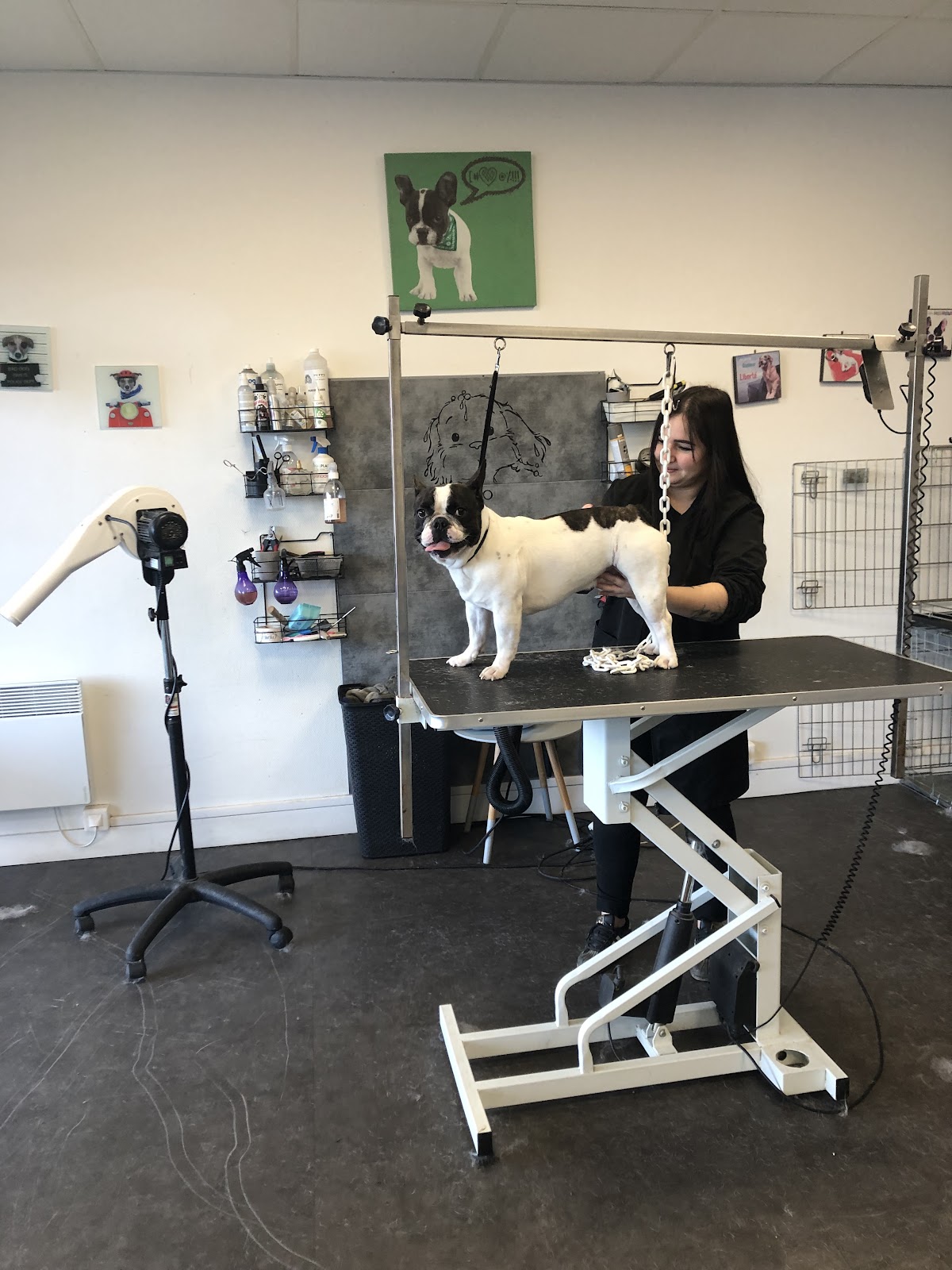 Séduction canine