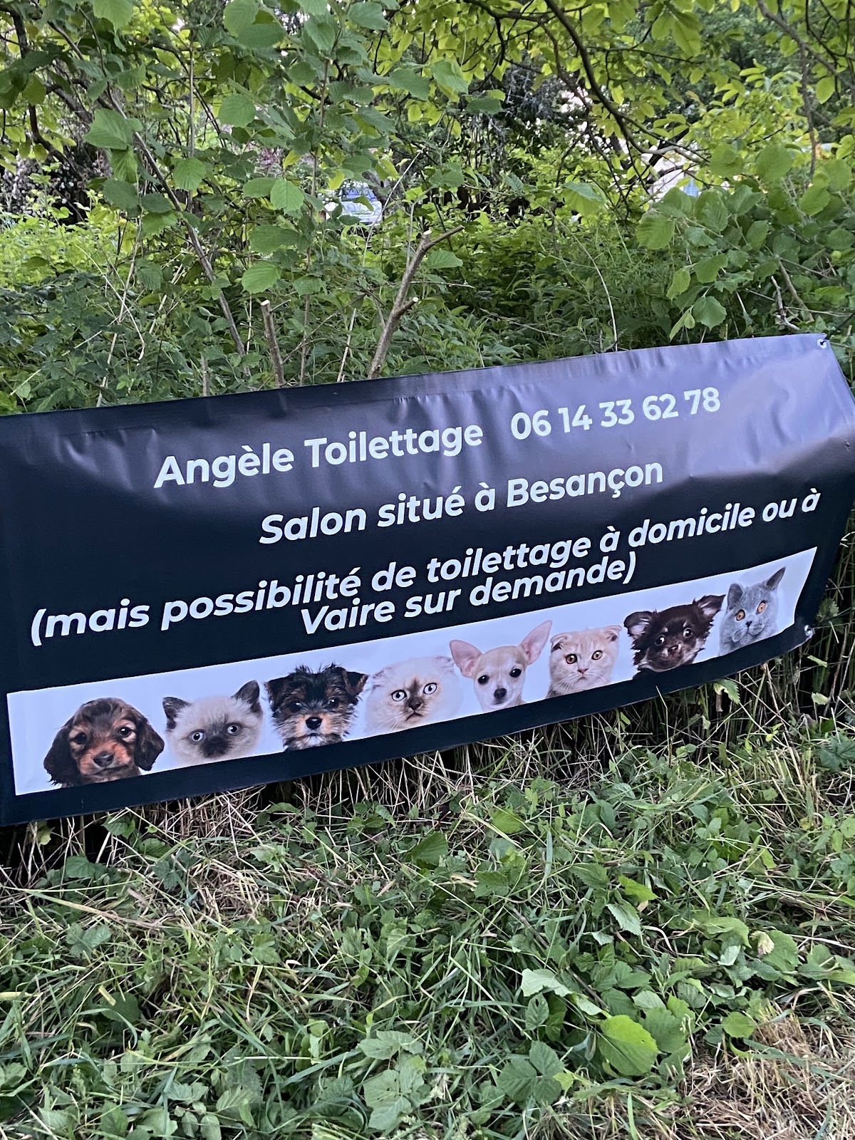 Angèle Toilettage