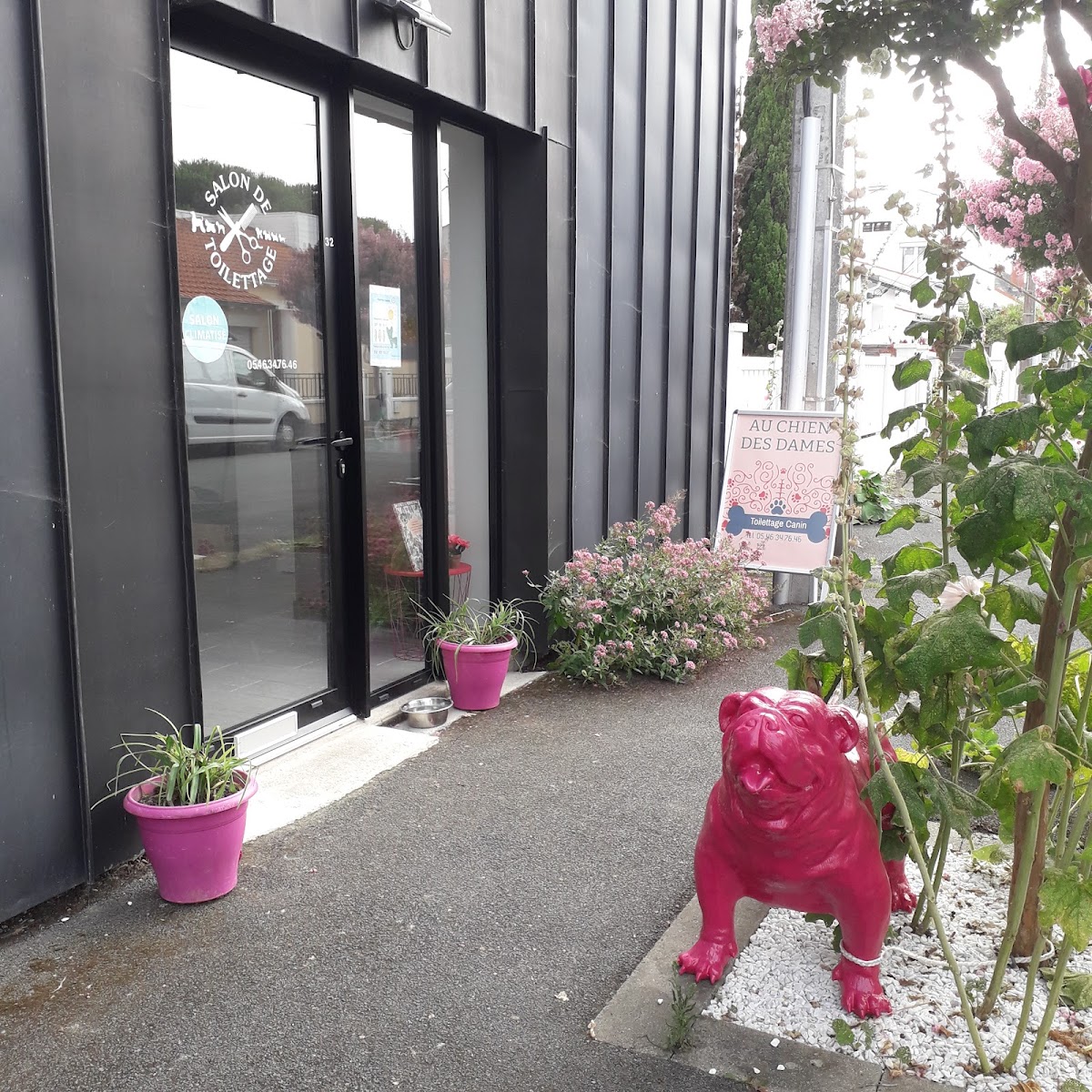 Au Chien Des Dames