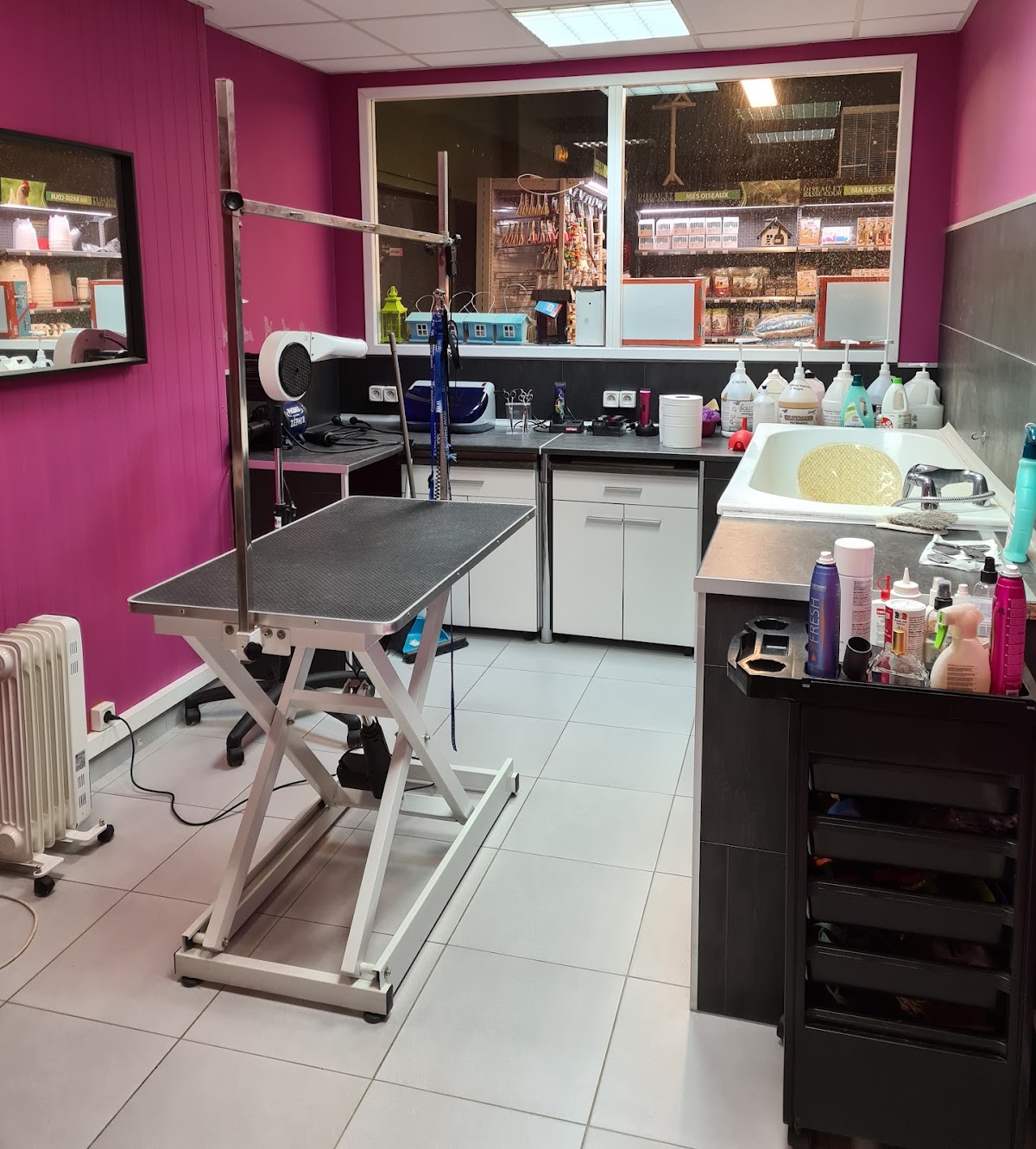 O'Poils, salon de toilettage, Castelnau-le-Lez