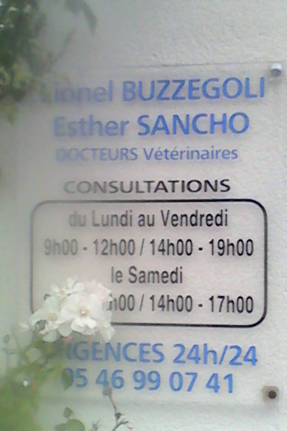 Clinique Vétérinaire du Marais Sancho et Buzzegoli