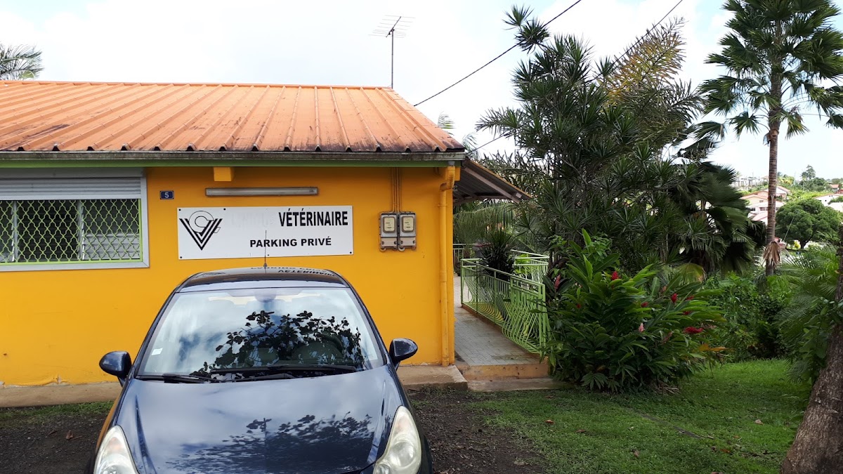 Cabinet Vétérinaire MYVETS