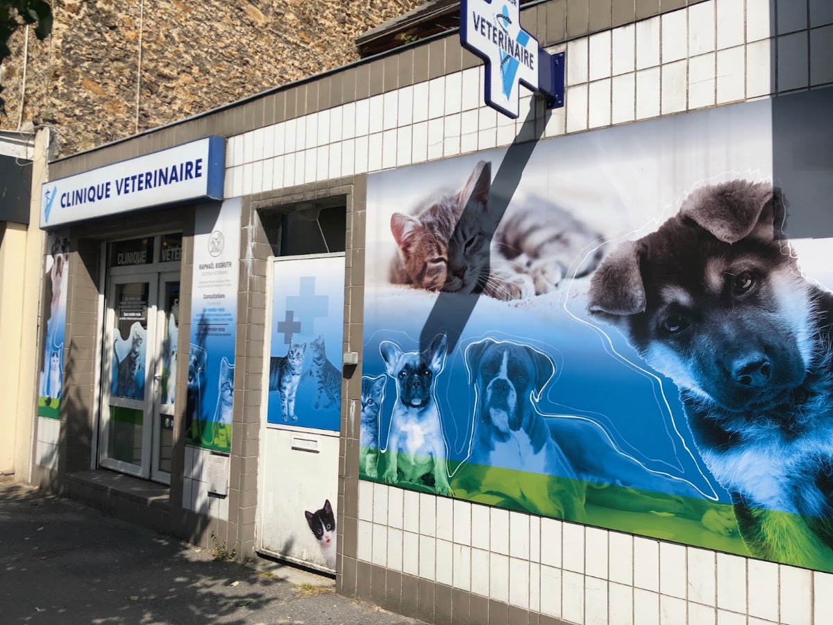 Clinique Vétérinaire du Docteur Bismuth