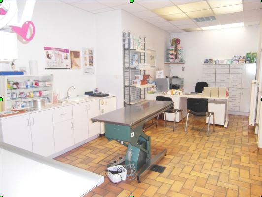 Cabinet Vétérinaire du Centre - Docteur M.Plateaux