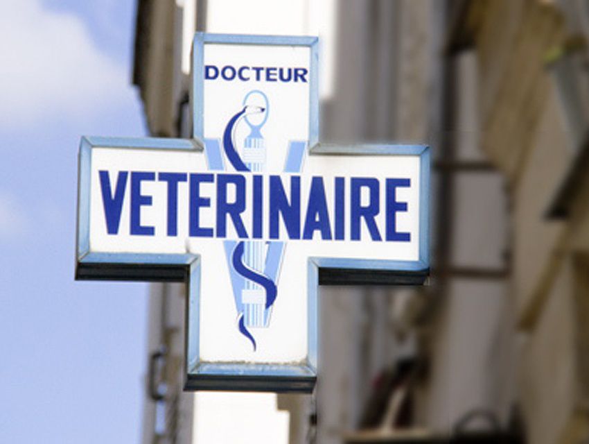 Clinique Vétérinaire des Docteurs Rancelant et Zara