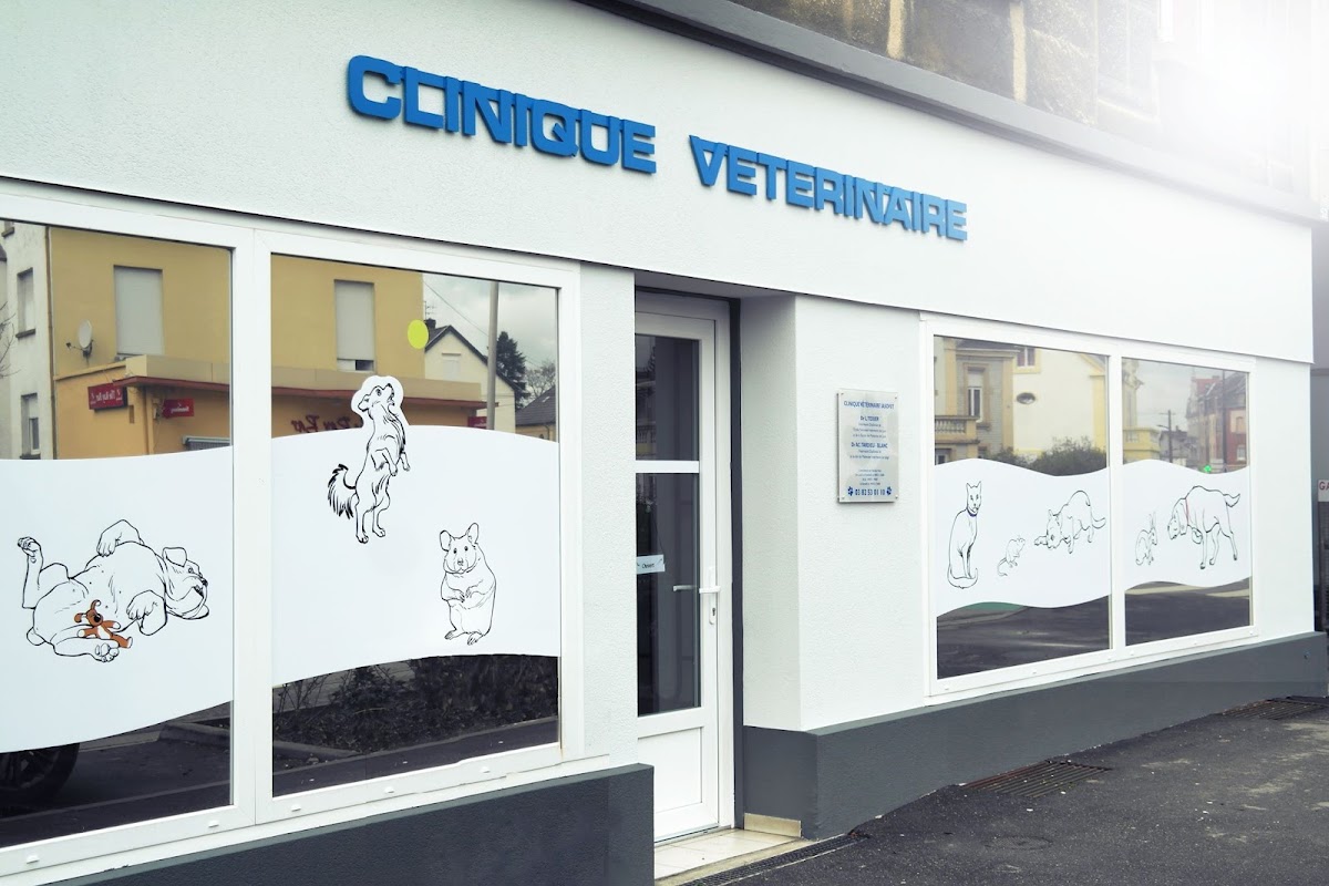 Clinique Vétérinaire IASOVET
