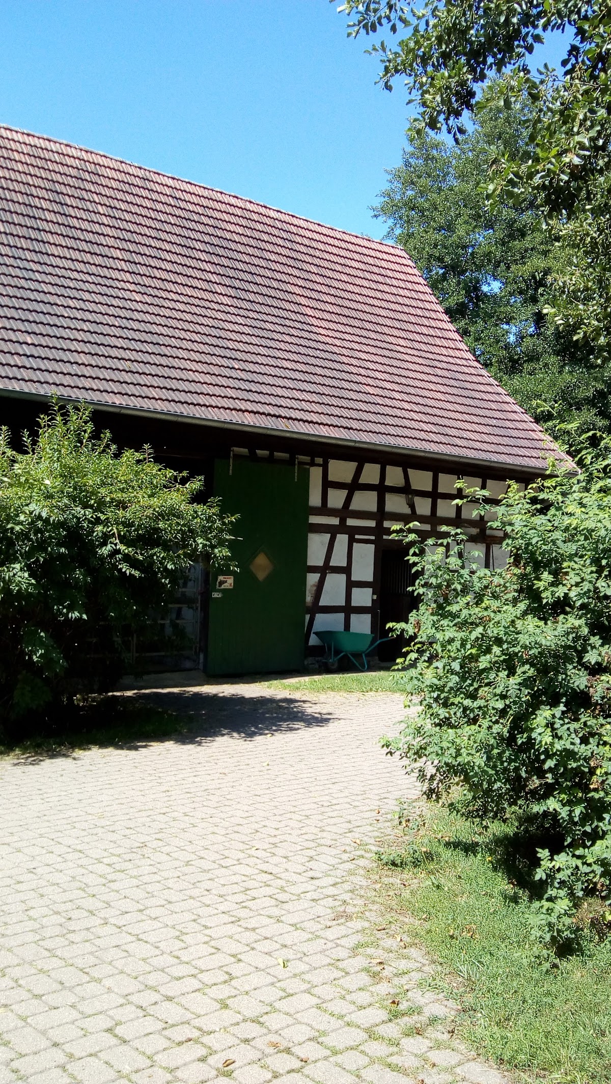 Kraetzschmann Bettina