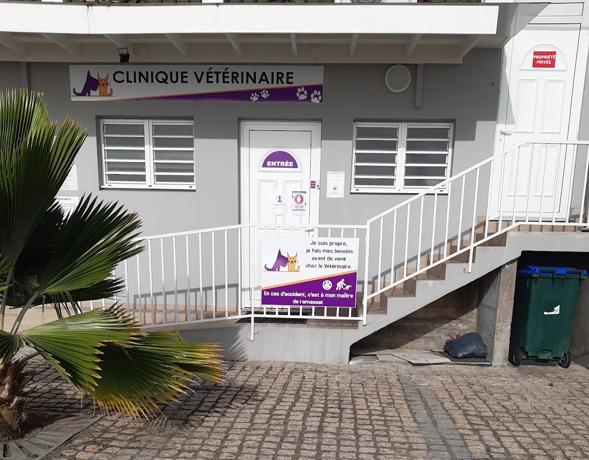 Clinique Vétérinaire polyvalente de St Pierre