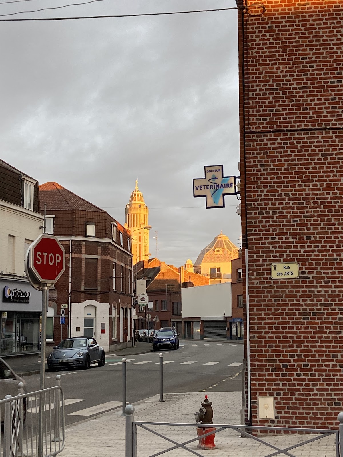 Clinique Veterinaire Les Acanthes