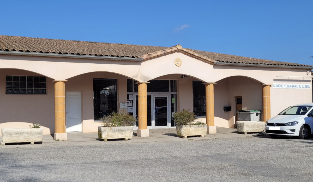 Clinique Vétérinaire du Cassieu - animaux de compagnie-