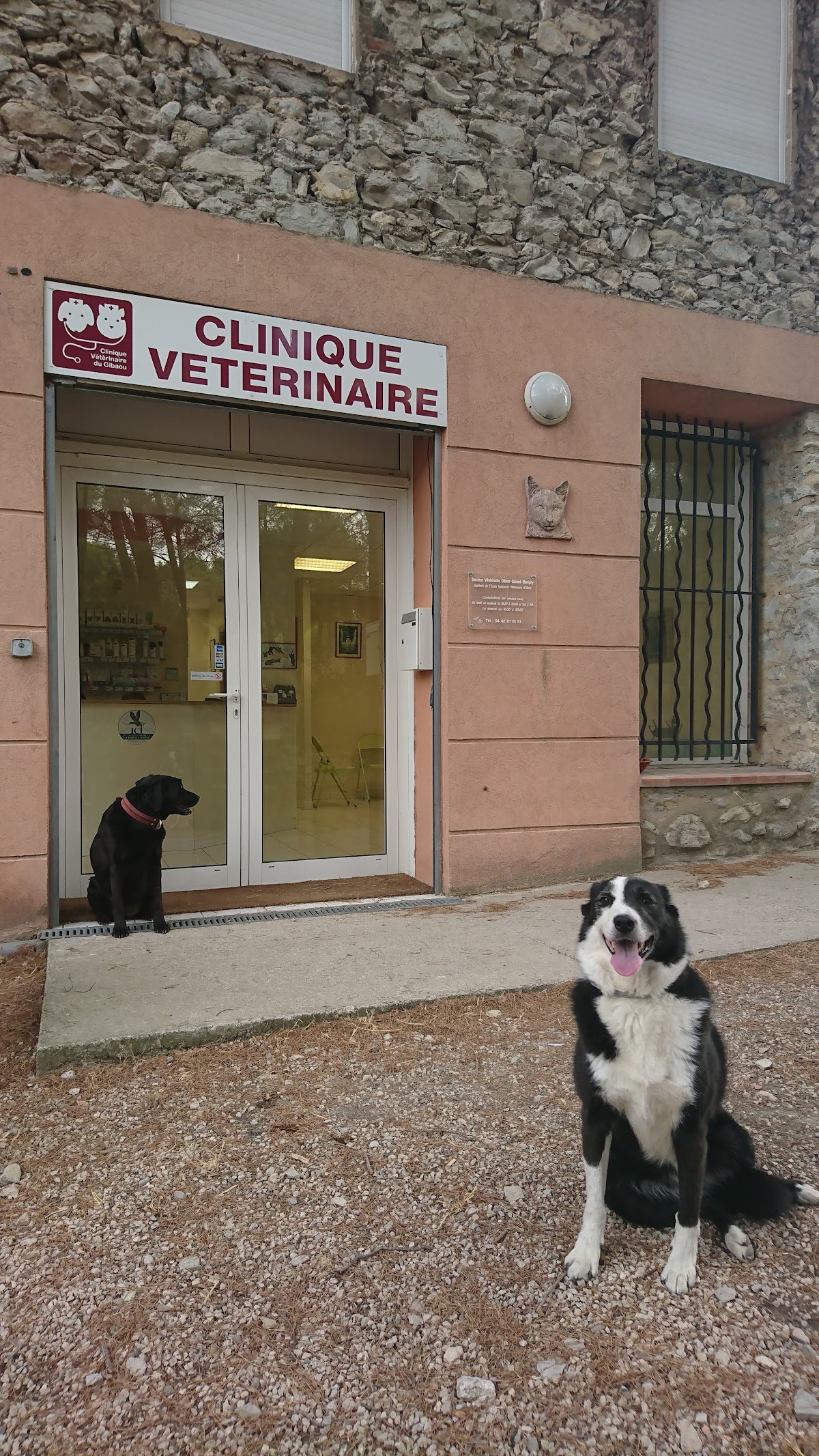 Clinique vétérinaire du GIBAOU
