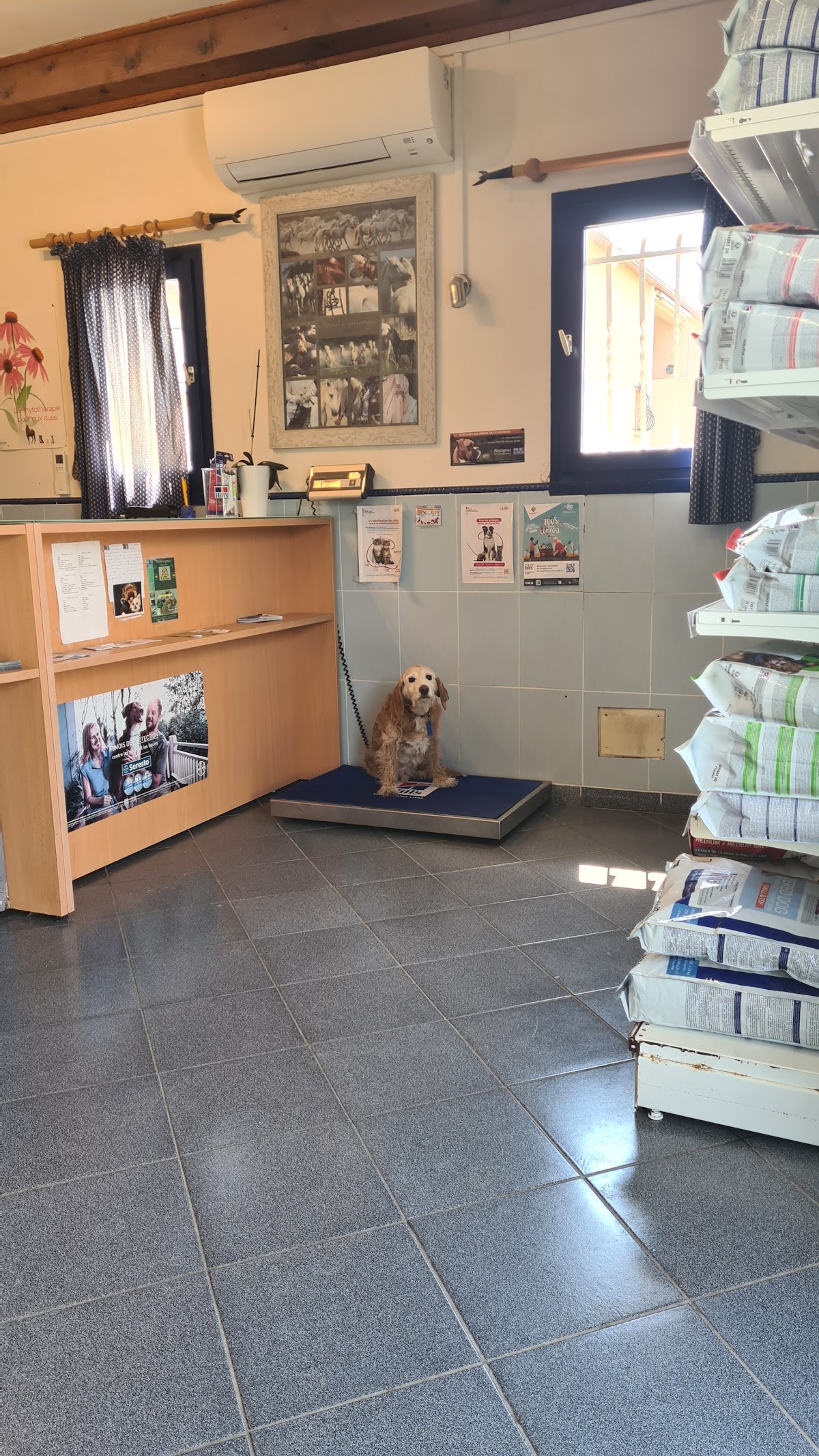 Clinique Veterinaire - Melgueil vétérinaire
