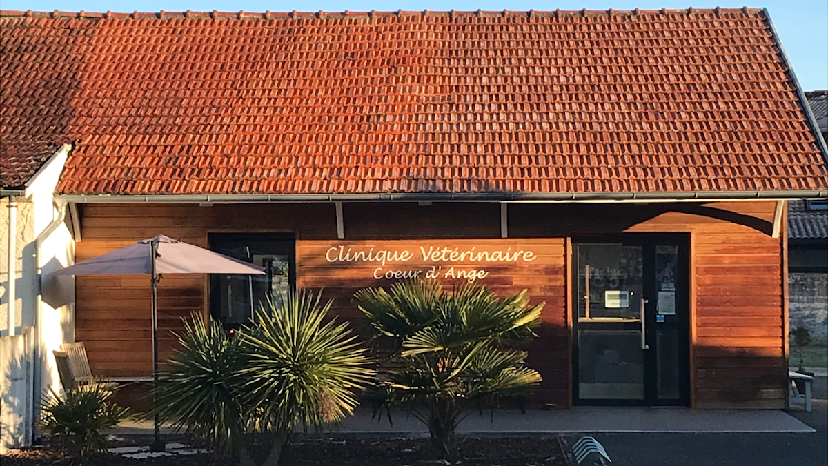 Drv Cécile Majesté -Clinique Vétérinaire Coeur D’ange