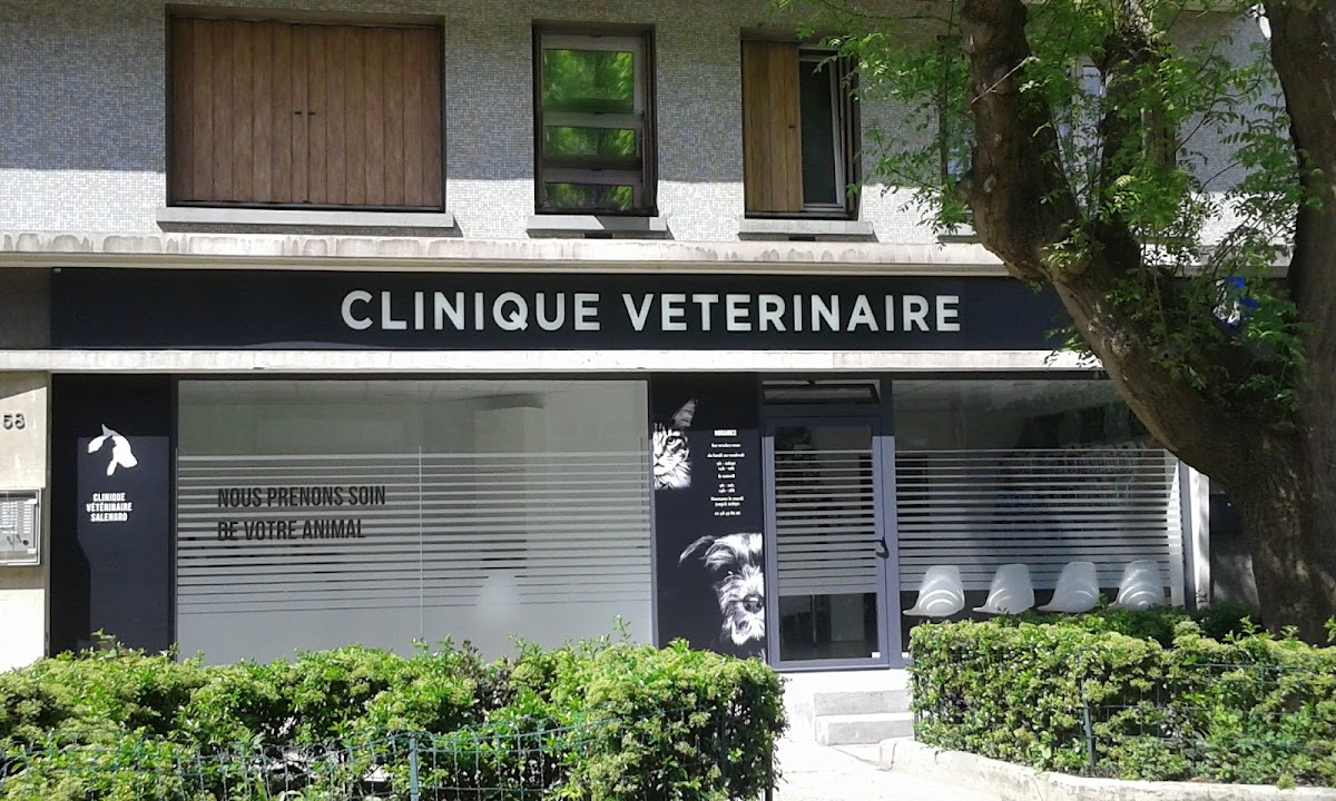 Clinique vétérinaire Salengro Dr Manceau