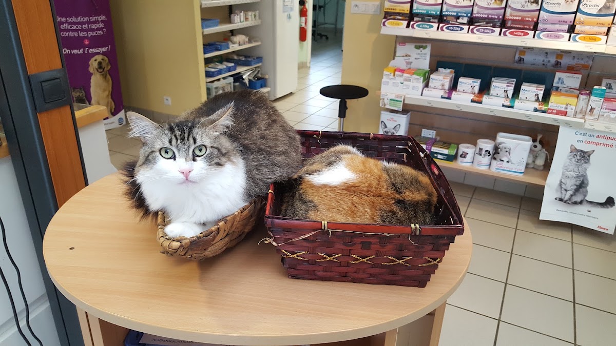 Clinique Saint Bernard