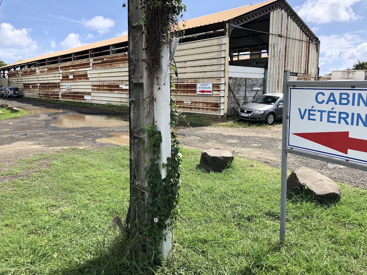Cabinet Vétérinaire - VETO-SUD