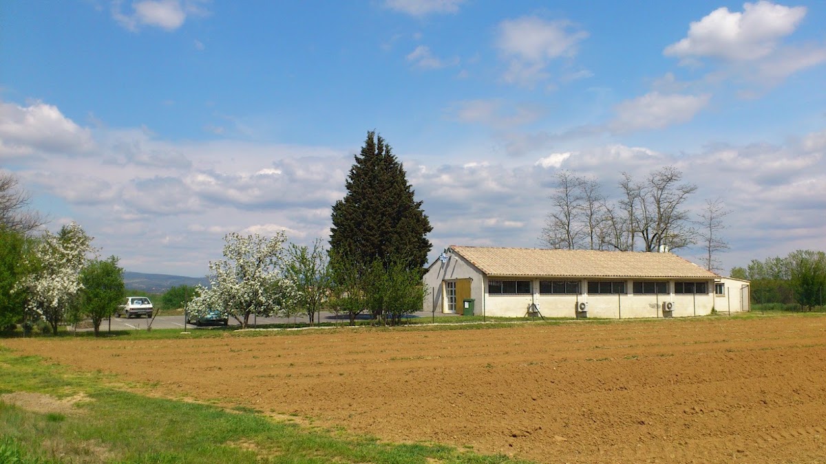 Clinique Vétérinaire Saint Eloi