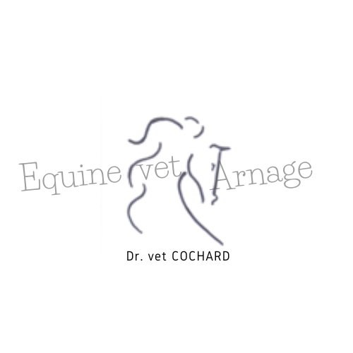Equine vet'Arnage