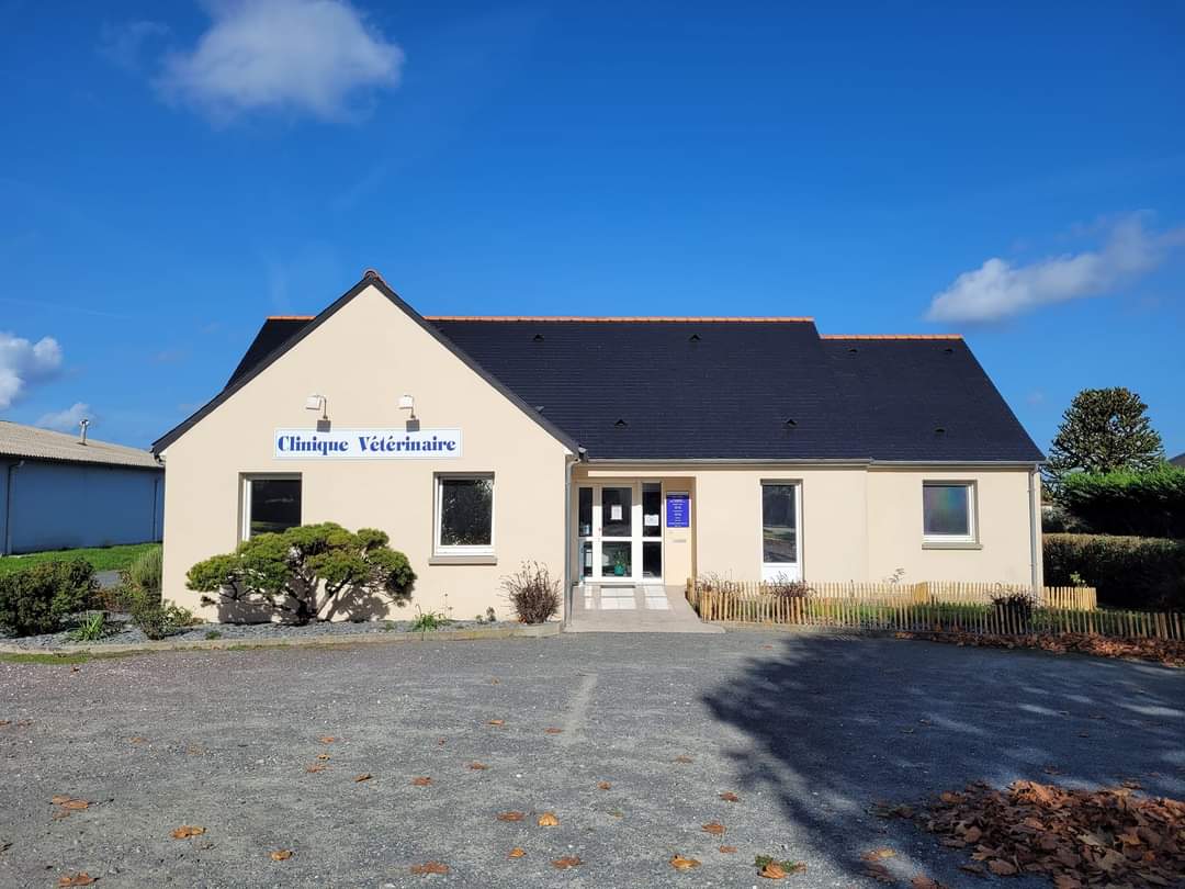 CLINIQUE VETERINAIRE CHINON