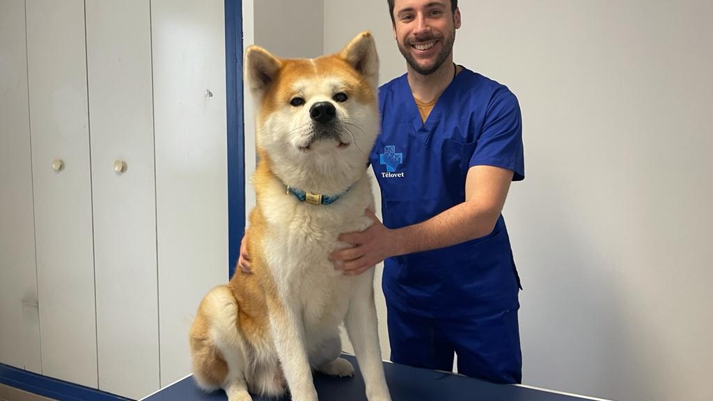 Clinique Vétérinaire Telovet-Perpignan